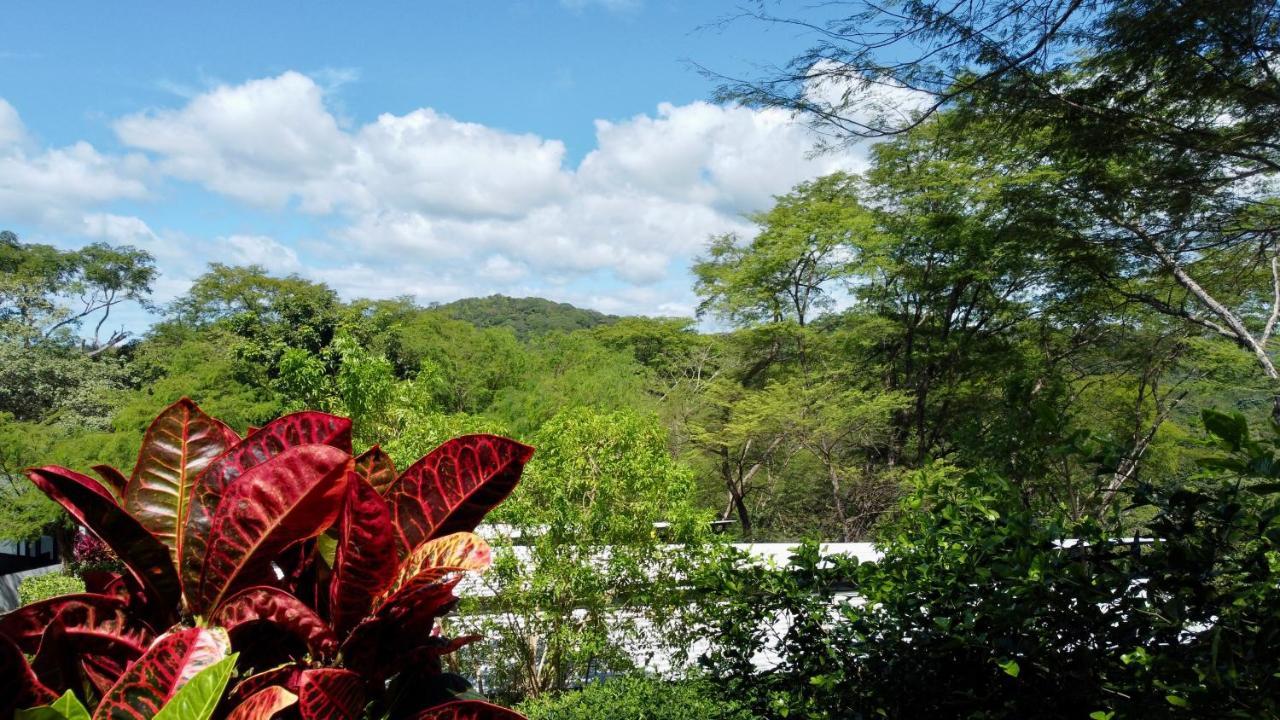 Pacific Kalokairi - Adults Only Hotel ตามารินโด ภายนอก รูปภาพ